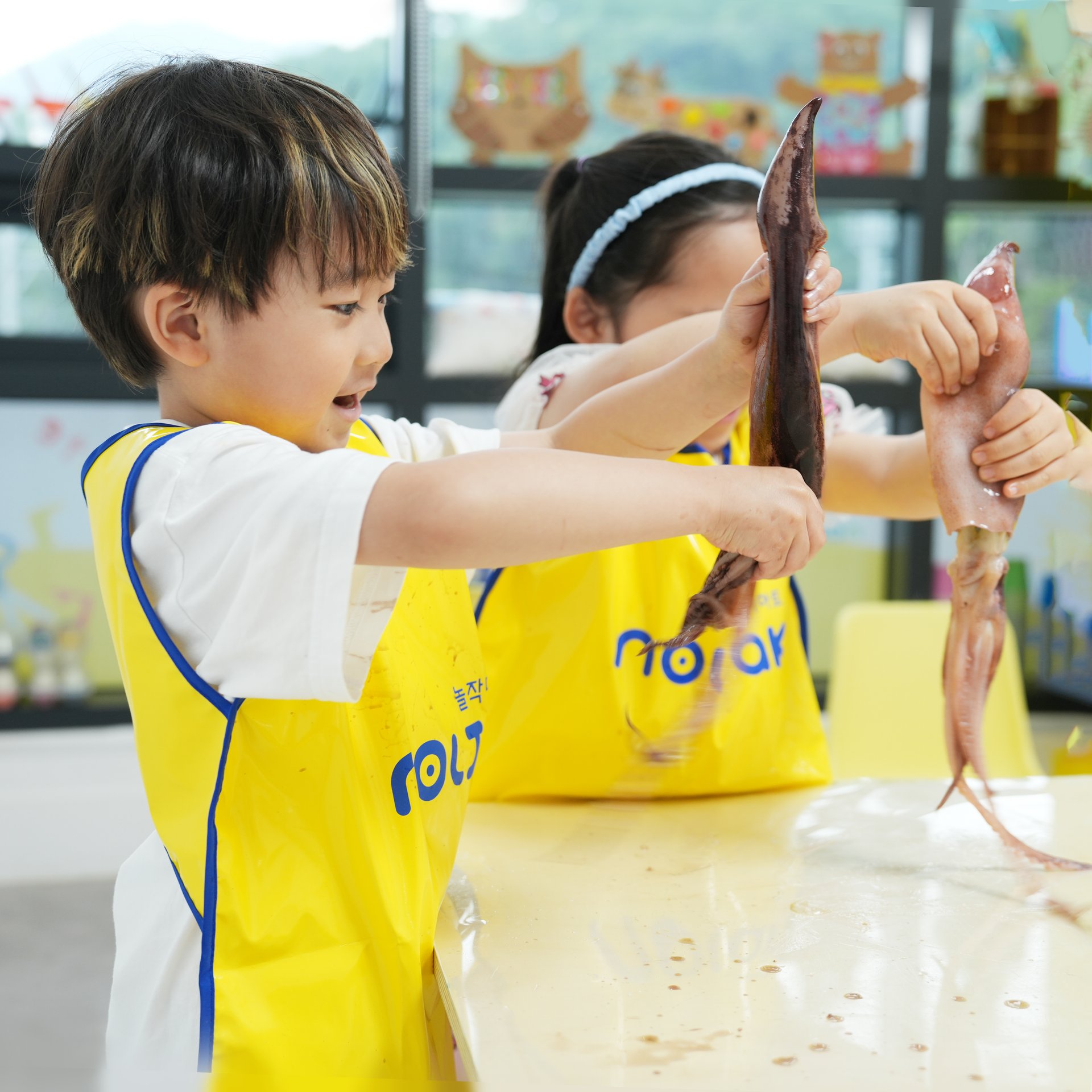 A young child wearing a yellow Noljak apron, curiously observing a real squid with both hands in a warm classroom setting
